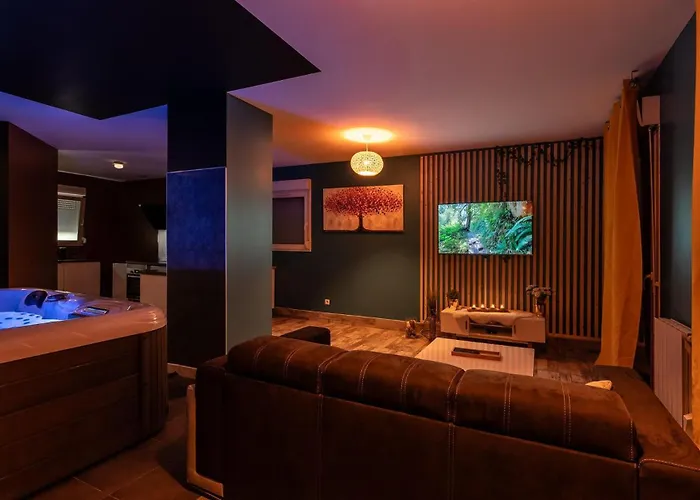La Somptueuse 100M2 Spa/Sauna Prive